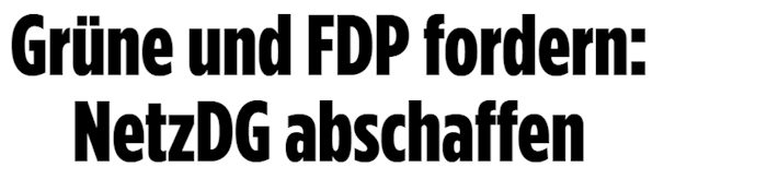 Bild - Grüne und FDP fordern: NetzDG abschaffen